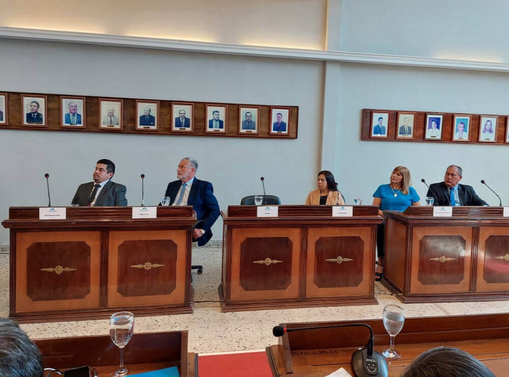 martin ascua concejo deliberante