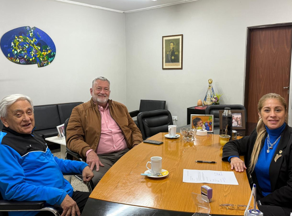 Concejo Deliberante Paso de los Libres - Imagen 6