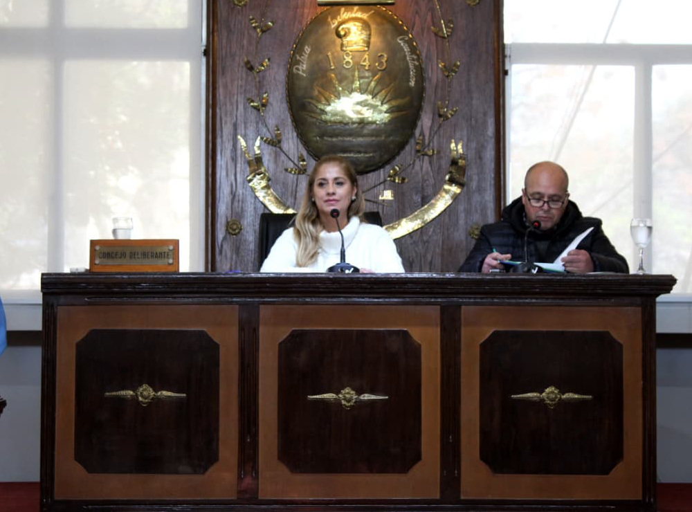 XVII Sesión Ordinaria Concejo Deliberante